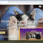 Website used to promote Cats fanpage browser hijacker