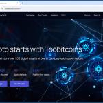 Fake crypto exchange platform - toobitcoins[.]com