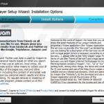 wajam adware installer sample 3