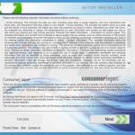 consumerinput adware installer sample 15