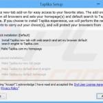 taplika.com browser hijacker installer sample 4
