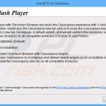 cassiopesa.com browser hijacker installer sample 6
