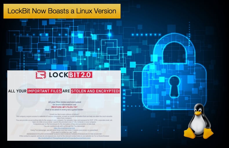 lockbit released a linux version