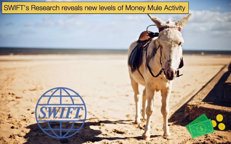 swift research on money mules