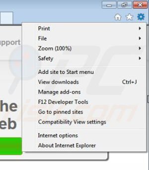 Removing pavadinimas from Internet Explorer step 1