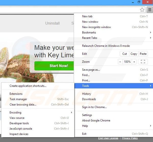 Removing Key Lime Lizard from Google Chrome step 1