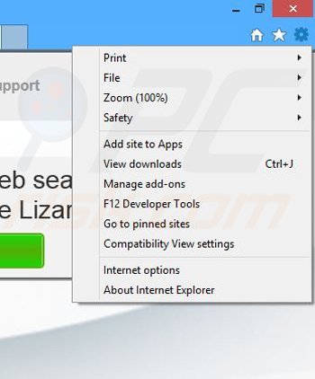 Removing Key Lime Lizard from Internet Explorer step 1