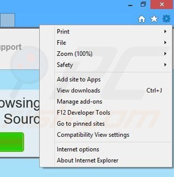 Removing SourceApp from Internet Explorer step 1