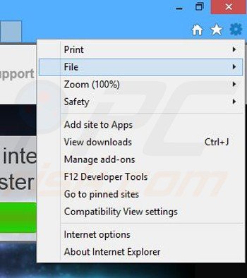 Removing Faster Light from Internet Explorer step 1