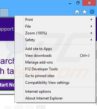 Removing tanzuki ads from Internet Explorer step 1