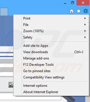 Removing ZoomIt ads from Internet Explorer step 1