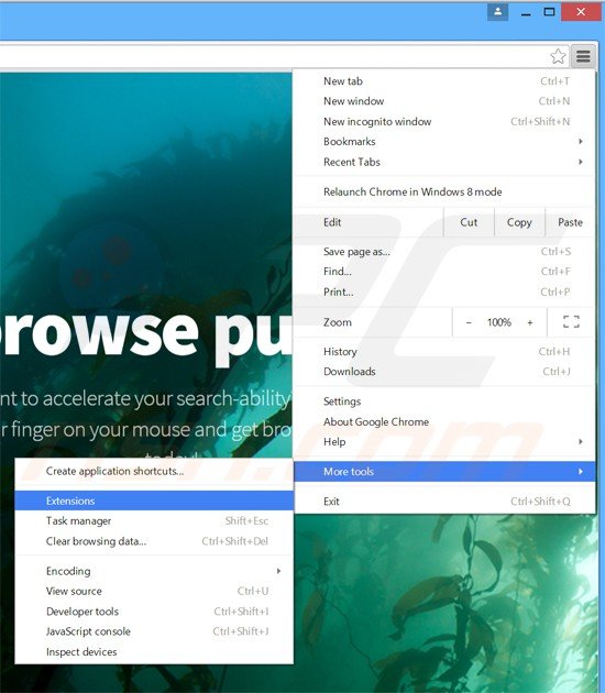 Removing browse pulse ads from Google Chrome step 1