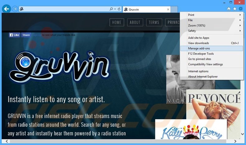 Removing Gruuvin ads from Internet Explorer step 1