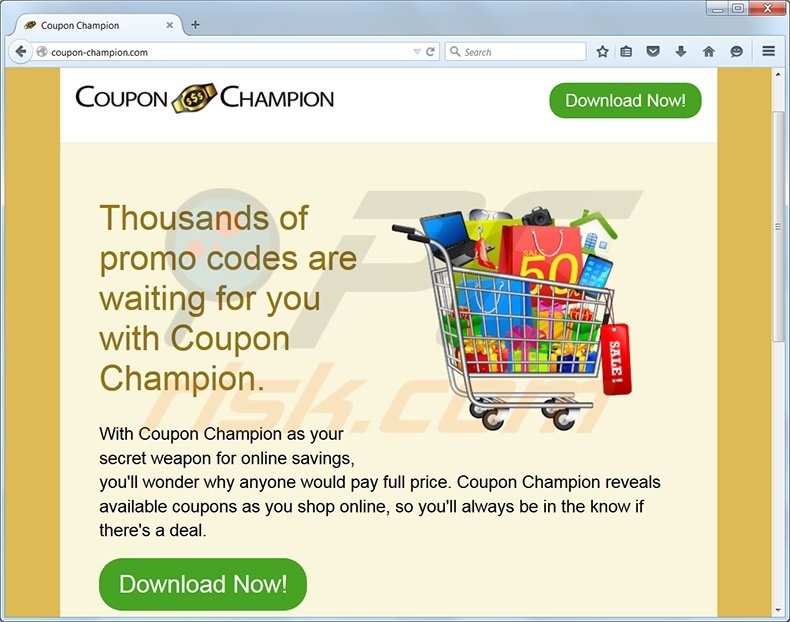 Ads by Coupon Champion