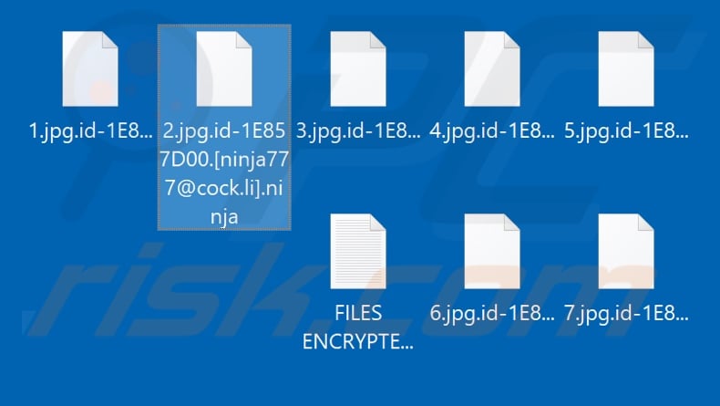 Files encrypted by Ninja (.ninja extension)