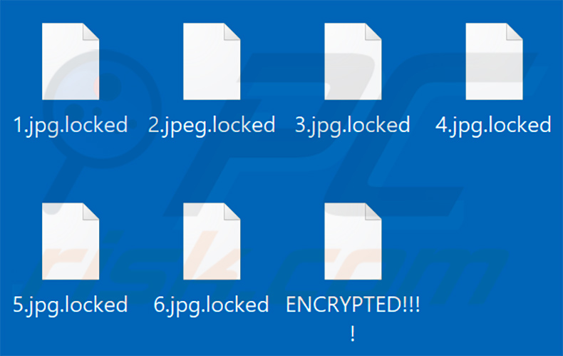Files encrypted by Chaos ransomware (.locked extension)