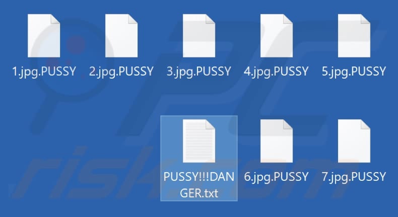 Files encrypted by PUSSY ransomware (.PUSSY extension)