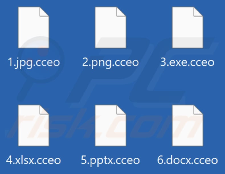 Files encrypted by Cceo ransomware (.cceo extension)