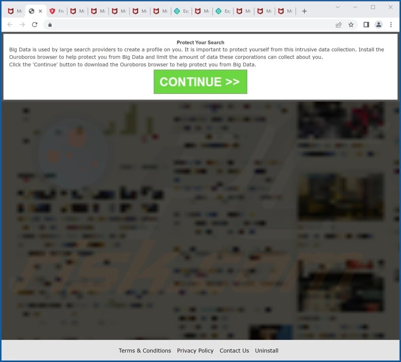 Deceptive site promoting Ouroboros browser PUA