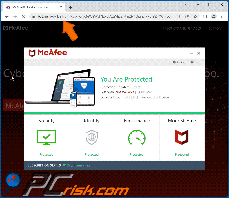 Appearance of McAfee - TROJAN_2022 And Other Viruses Detected scam (GIF)