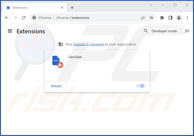 Removing Cervidae malicious extension from Google Chrome step 2