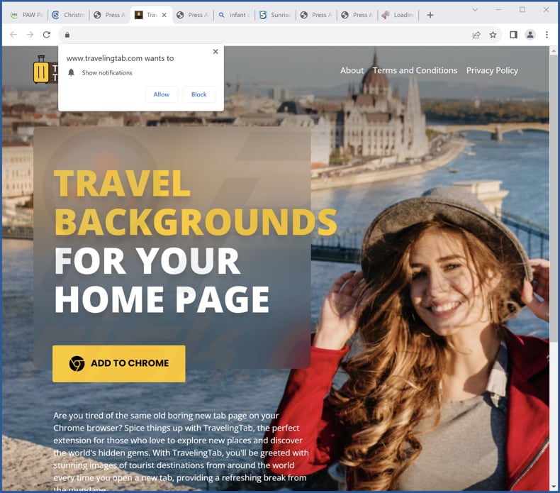 Website used to promote Traveling Tab browser hijacker