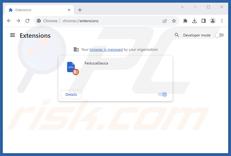 Removing FestucaGlauca malicious extension from Google Chrome step 2