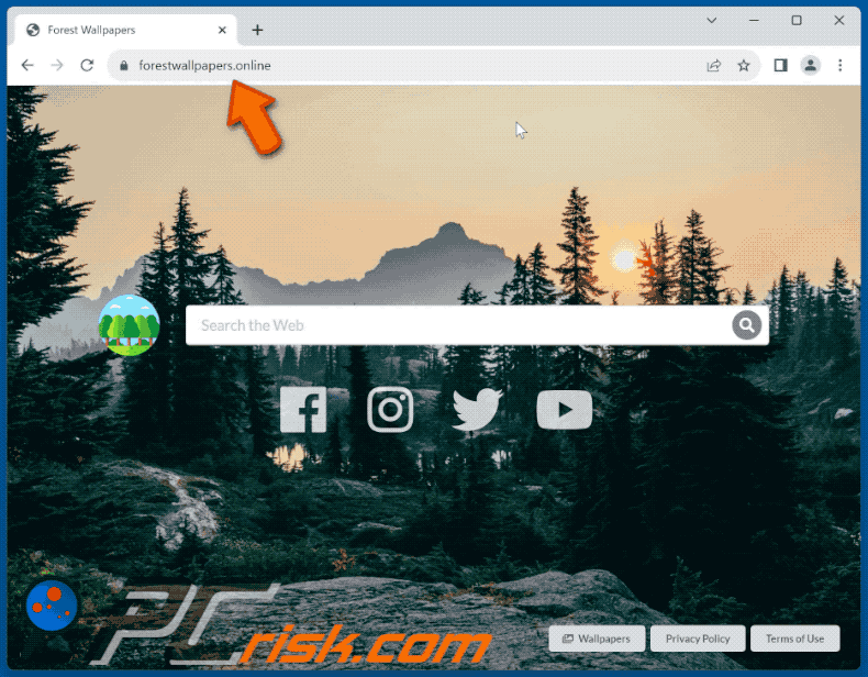 Forest Wallpapers browser hijacker redirecting to Google (GIF)