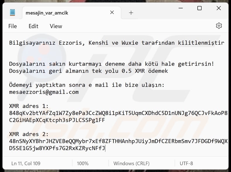 Danger Siker ransomware text file (mesajin_var_amcik.txt)