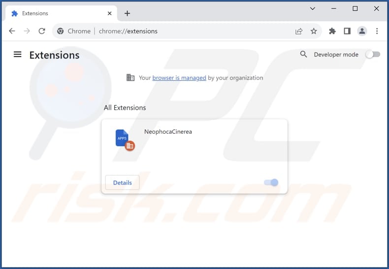 Removing NeophocaCinerea malicious extension from Google Chrome step 2