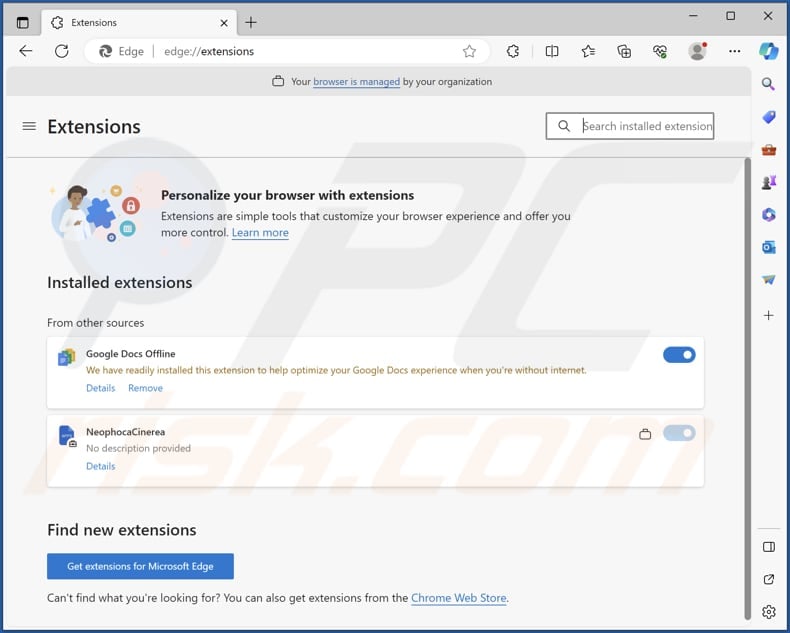 NeophocaCinerea malicious extension on Edge browser