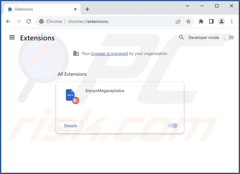 Removing EryopsMegacephalus malicious extension from Google Chrome step 2