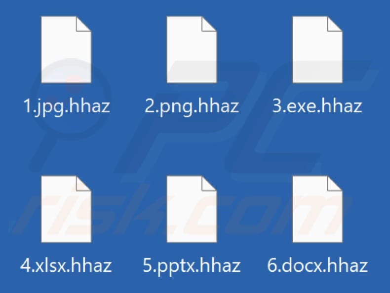 Files encrypted by Hhaz ransomware (.hhaz extension)