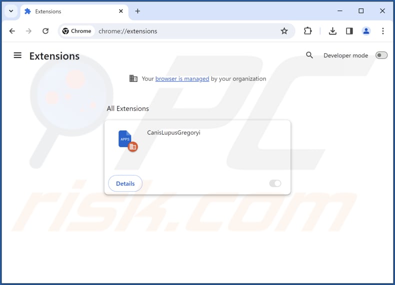 Removing CanisLupusGregoryi malicious extension from Google Chrome step 2