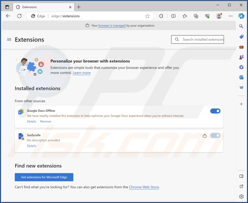 SusScrofa malicious extension on Edge browser