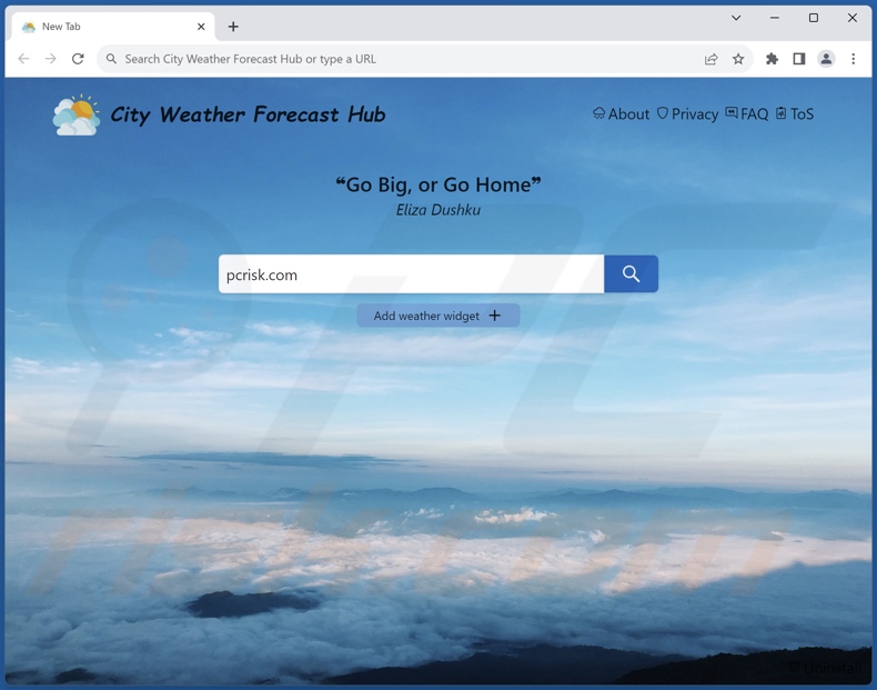 City Weather Forecast Hub browser hijacker