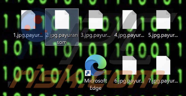 Files encrypted by Payuransom ransomware (.payuransom extension)