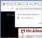 Mca-track.online Ads