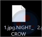 NIGHT CROW Ransomware