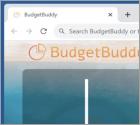 BudgetBuddy Browser Hijacker