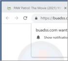 Buadss.com Ads