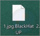 BlackHatUP Ransomware