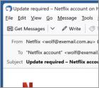 Netflix - Update Your Payment Details Email Scam