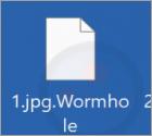 Wormhole Ransomware