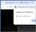 Ruopors.co.in Ads