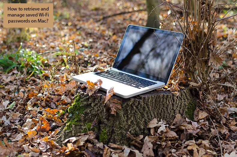 lost-wifi-psw-introduction