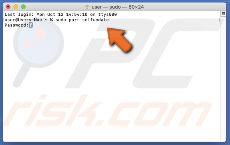 Execute sudo port selfupdate