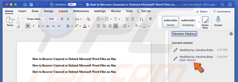 View file older versions
