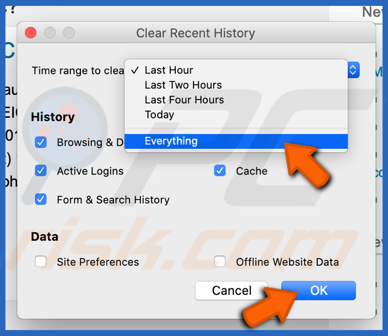 Delete all history in Mozilla Firefox browser