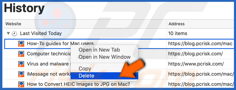 Delete individual site history in safari browser